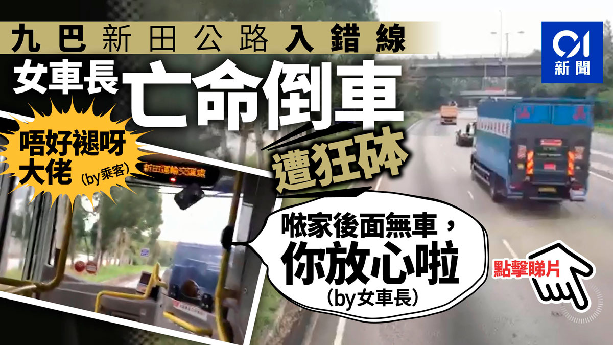 亡命褪車 九巴行錯路新田公路瘋狂倒車女車長 我睇過安全