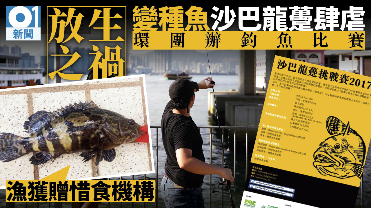 魚類殺手沙巴龍躉肆港　環團辦釣魚比賽　參與者呼：還我石九公